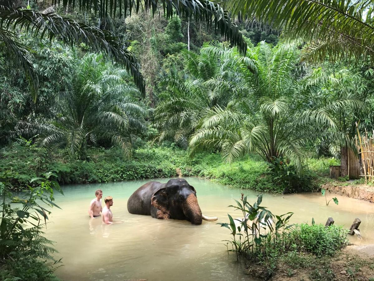 Khao Sok River Home Resort Khao Sok National Park Εξωτερικό φωτογραφία