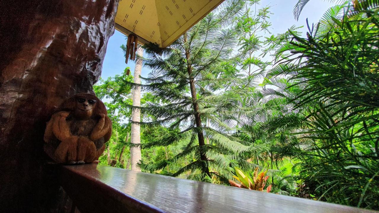 Khao Sok River Home Resort Khao Sok National Park Εξωτερικό φωτογραφία