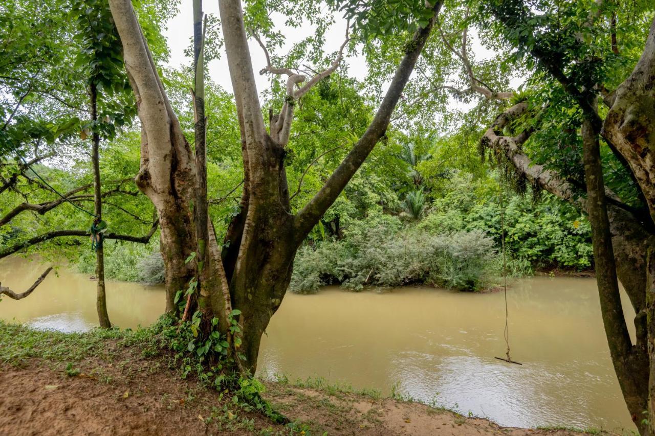 Khao Sok River Home Resort Khao Sok National Park Εξωτερικό φωτογραφία