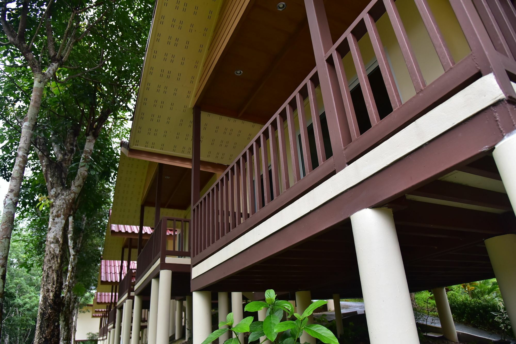 Khao Sok River Home Resort Khao Sok National Park Εξωτερικό φωτογραφία